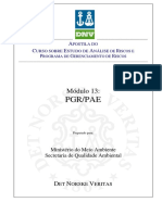 DNV013 - PGR E PAE.pdf
