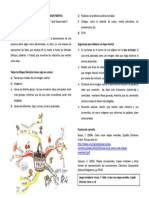 Elaboración de un mapa mental.pdf