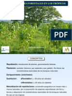 IV.- Repoblaciones Forestales en los Trópicos.pdf