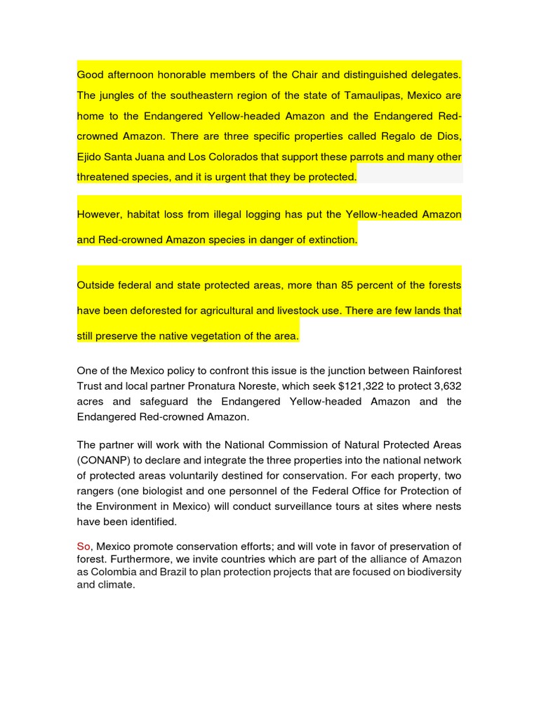 Position Paper PDF
