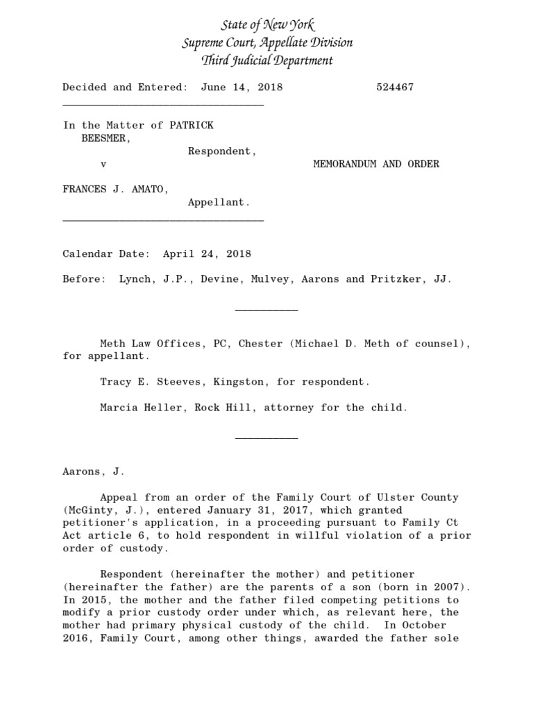 Francesca Amato 60 Day Jail Sentence Appeal Denied | PDF | Contempt Of Court  | Child Custody