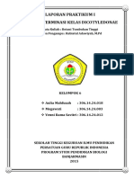 Kunci Determinasi Tumbuhan Kelas Dicotyledonae Stkip Pgri Banjarmasin