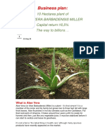 Business Plan:: 10 Hectares Plant of Aloe Vera Barbadensis Miller Capital Return:16,5% The Way To Billions