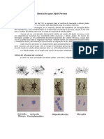 Material de Apoyo Tejido Nervioso