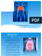 Sistema respiratorio