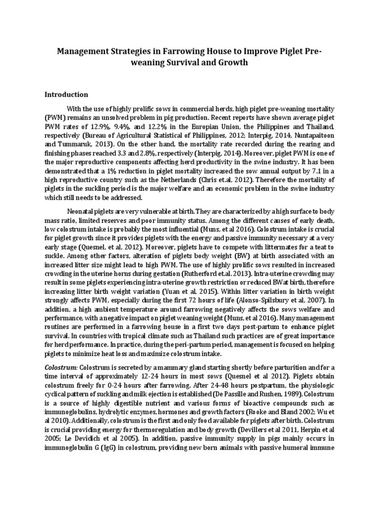 Enhancing Piglet Survival in Farrowing | PDF | Domestic Pig | Weaning