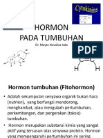 HORMON PERTUMBUHAN Fistum PDF