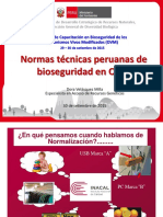 11.-Normas-Técnicas.pptx