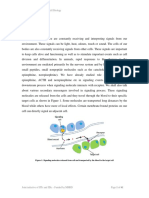 Cell Signalling PDF