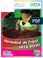 Brochure Frijol INTA Rojo 2013