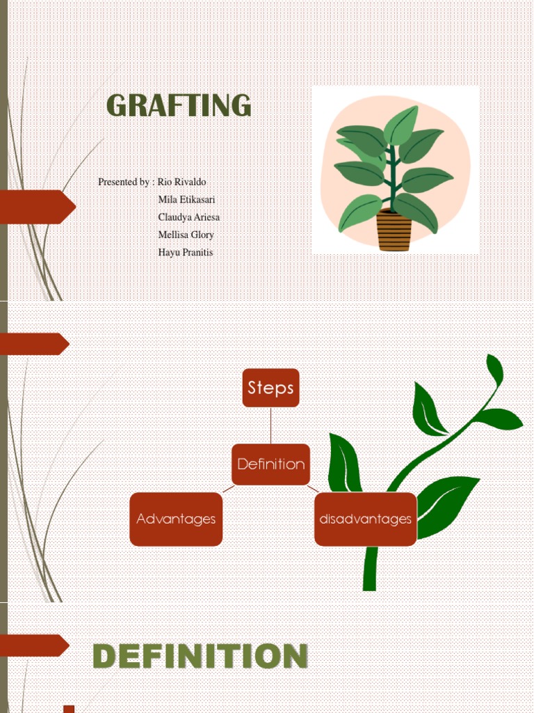 Grafting: Presented By: Rio Rivaldo Mila Etikasari Claudya Ariesa ...