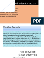 Chlamydia Dan Rickettsia