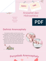 Ananchefhaly Dan Hidrosiflus