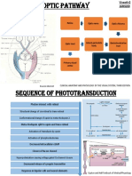 Retina Optic Nerve Optic Chiasma: Source-Internet Clinical Anatomy and Physiology of The Visual System, Third Edition