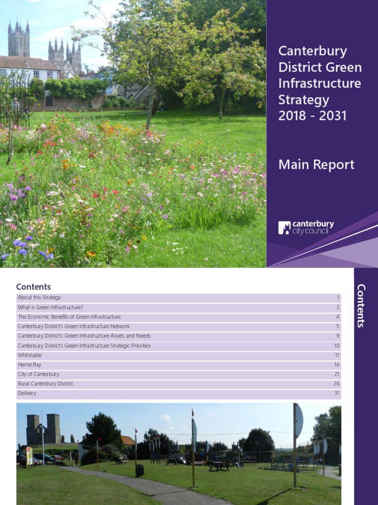 Green Infrastructure Strategy Adopted Nov 18 Pdf Green