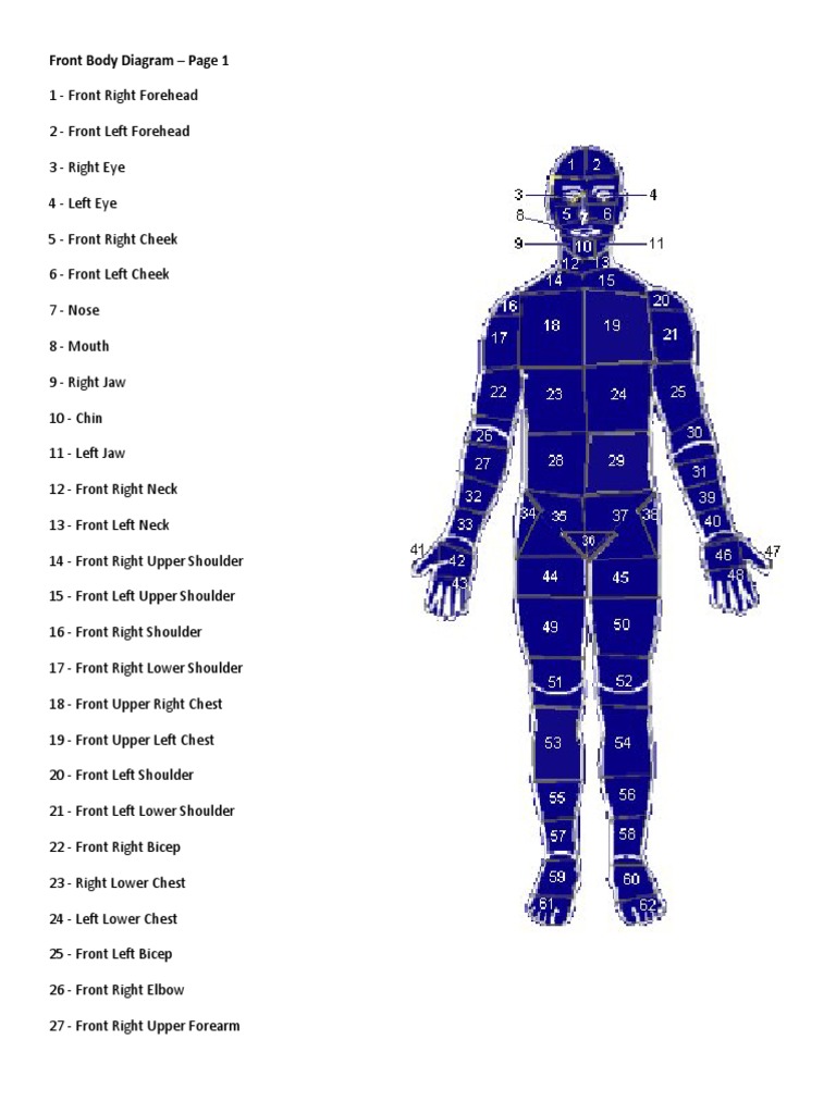 A Comprehensive Labeling of the Front and Back Body Regions for