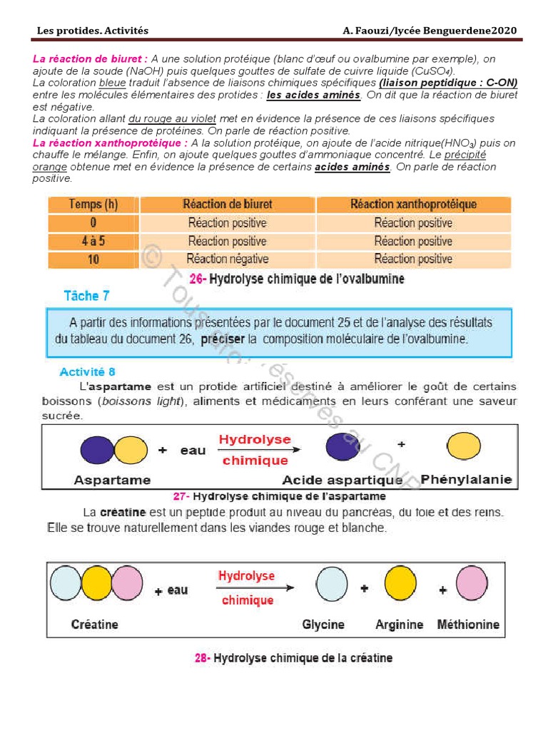 Réactions des protides en biologie | PDF