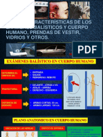 Examenes Balisticos en Cuerpo Humano-Prendas de Vestir, Vidrio y Otros