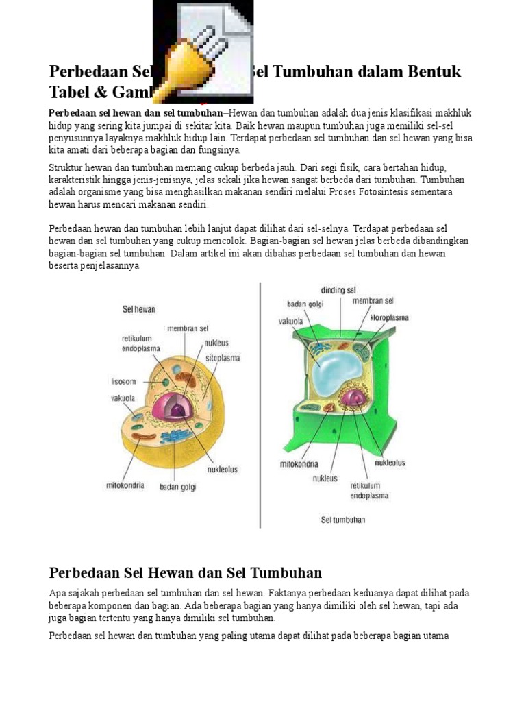  Struktur  Sel  Hewan  Dan  Tumbuhan Beserta  Penjelasannya 