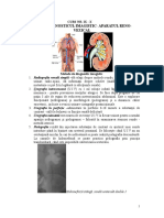 CURS 9 + 10 -doc AP. RENO-VEZICAL