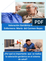 Enfermera-María-del-Carmen-Reyes-VGI-APS.pdf