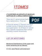 Myotomes: LI Stofmyotomes