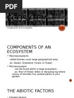 Ecosytem: Components of An Ecosystem