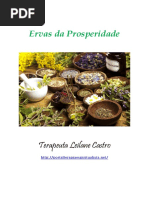 01 - Ervas Da Prosperidade