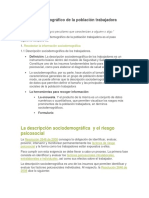 Perfil Sociodemográfico de La Población Trabajadora