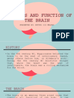 The Parts and Function of The Brain Presentation For Con Chem