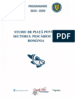 Studiu de piață_versiune oficială_feb. 2015.pdf