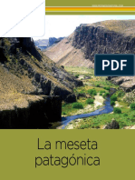 Meseta Patagonica