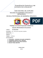 289339452 Aguas Residuales de Juliaca