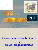 Ciclos Biogeoquimicos 2bach