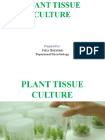 Planttissueculture 170124061234 Converted2 PDF