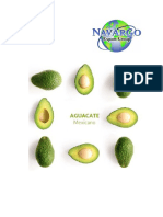 Avocado Technical Sheet