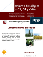 Comportamiento Fisiologico de Las Plantas C3, C4 y CAM.