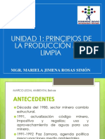 Principios de la Producción Más Limpia en Bolivia