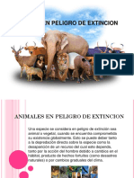 Animales en Peligro de Extincion