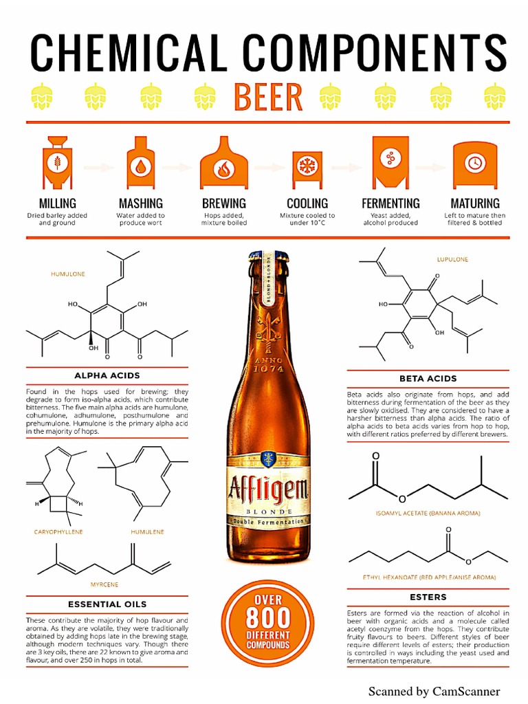 Beer Fermentation | PDF