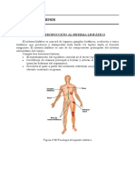 Drenaje Diuresis