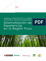 LINEAS-MANUAL-TECNICO-CAÑA-DE-GUAYAQUIL.pdf
