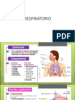 Anatomía General, Digestivo, Respiratorio, Excretor.