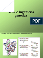 ADN_IngGen2019.pptx