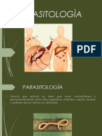 Parasitologiapowerpoint 160725192540