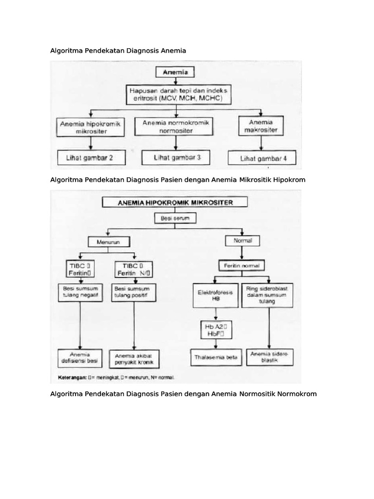 Algoritma Diagnosis Anemia Normokrom | PDF