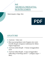 ANATOMIMUSKULOSKELETAL.ppt