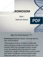 KROMOSOM