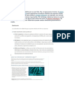 la calidad del.docx