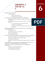 Psicologia Cognitiva y Procesamiento de La Informacion (1)